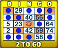 bingo liner 75 ball bingo card