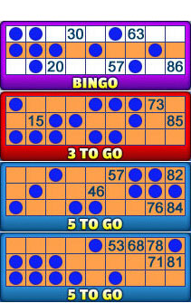 bingo liner 90 ball bingo card examples