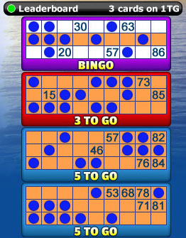 playing bingo liner 90 ball bingo game